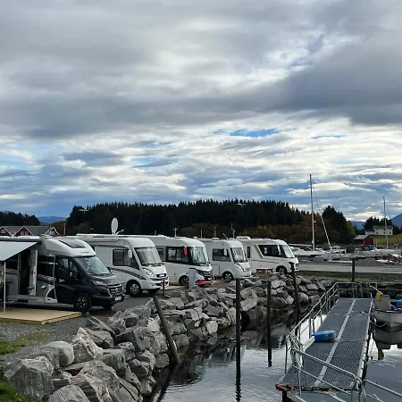 Bud Camping Camping Bud