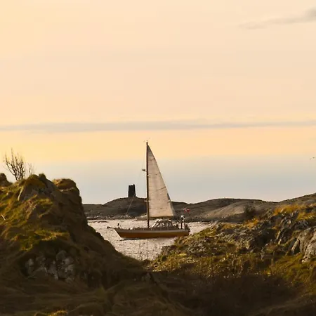 Bud Camping Camping *