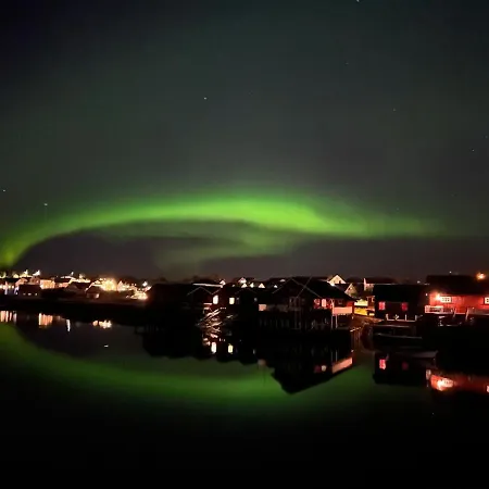 Camping Bud Camping Bud