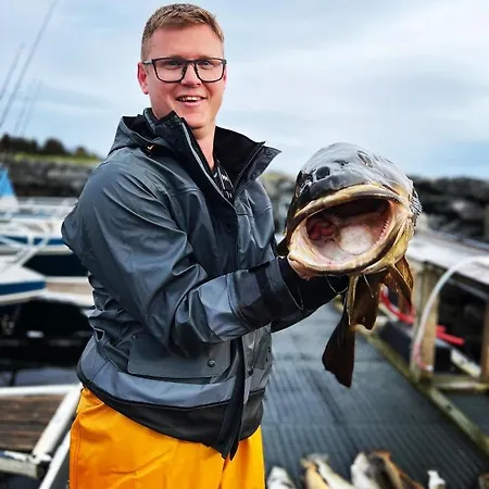 Bud Camping Camping Bud