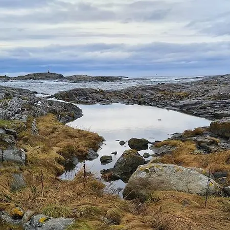 Camping Bud Camping *