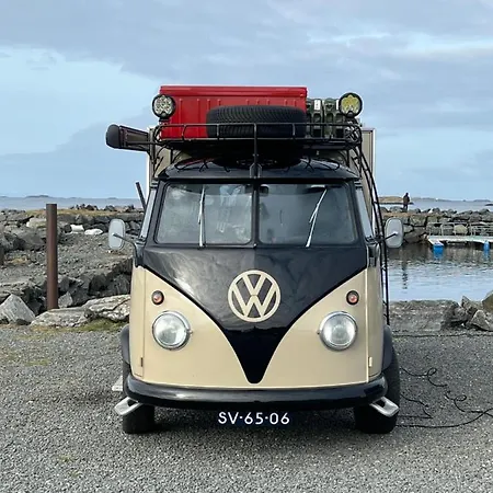Bud Camping