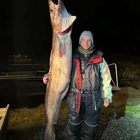 Camping Bud Camping Bud