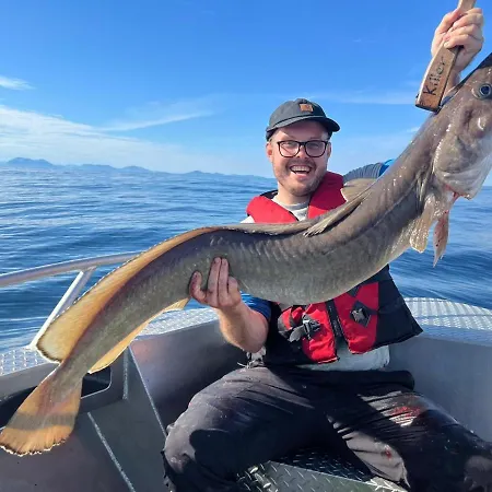 Bud Camping Camping *