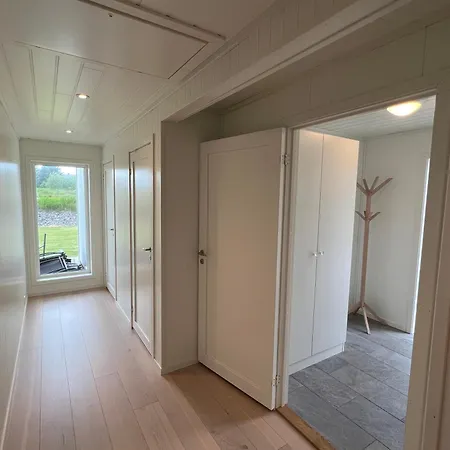 Bud Camping Camping *