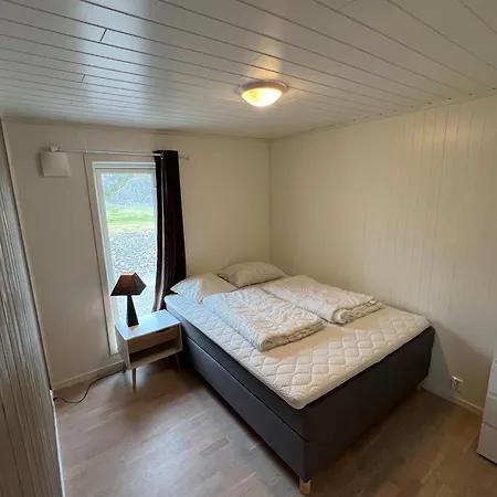 Bud Camping Camping Bud