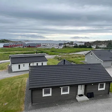 Bud Camping Camping Bud