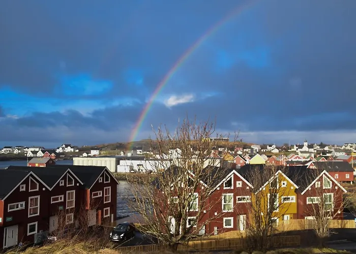Bud Camping Camping *
