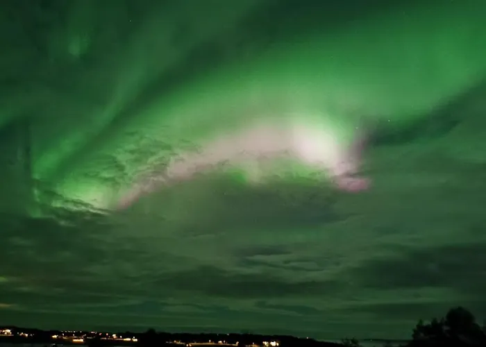 Bud Camping Camping *