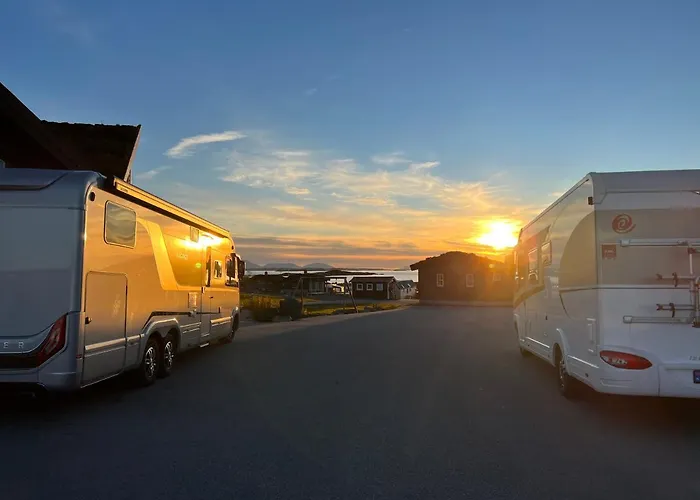 Bud Camping *