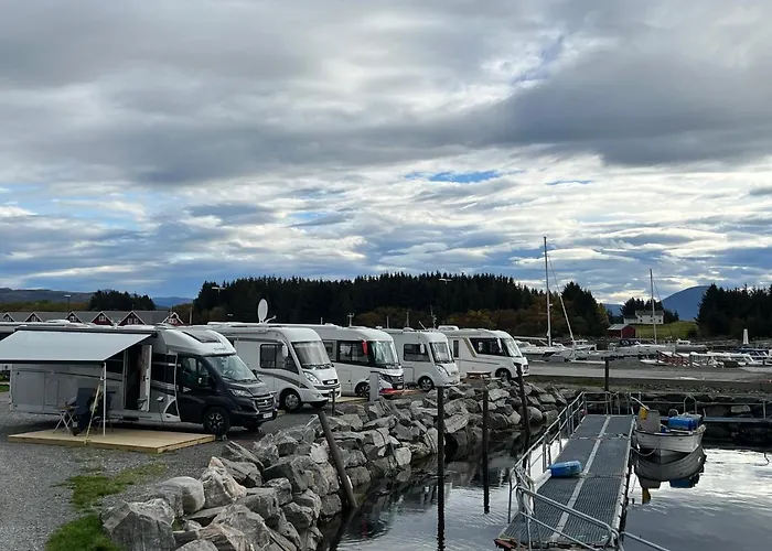 Bud Camping Camping Bud