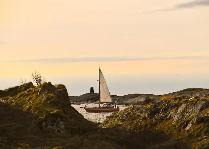Bud Camping Camping *