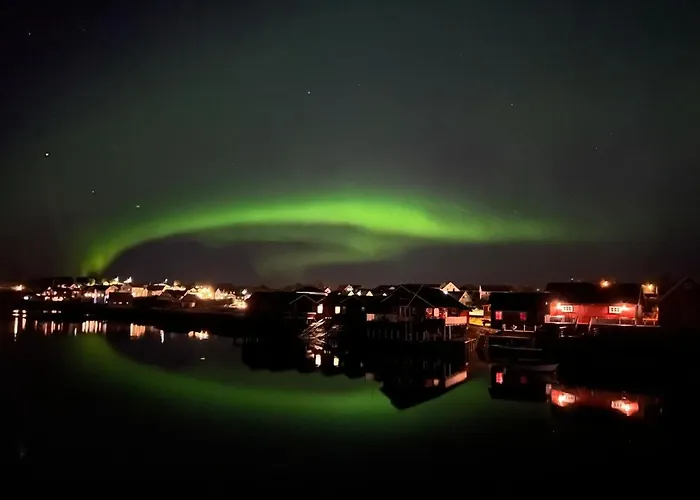 Camping Bud Camping Bud