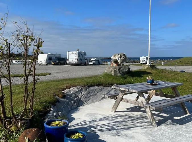 Bud Camping