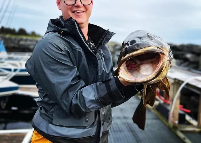 Bud Camping Camping Bud