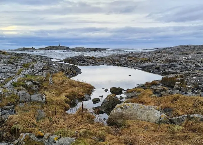 Camping Bud Camping *