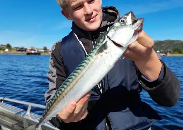 Camping Bud Camping *