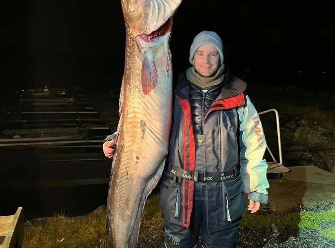 캠프장 Bud Camping Bud