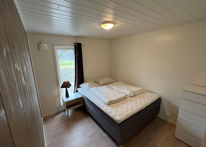 Bud Camping Camping Bud