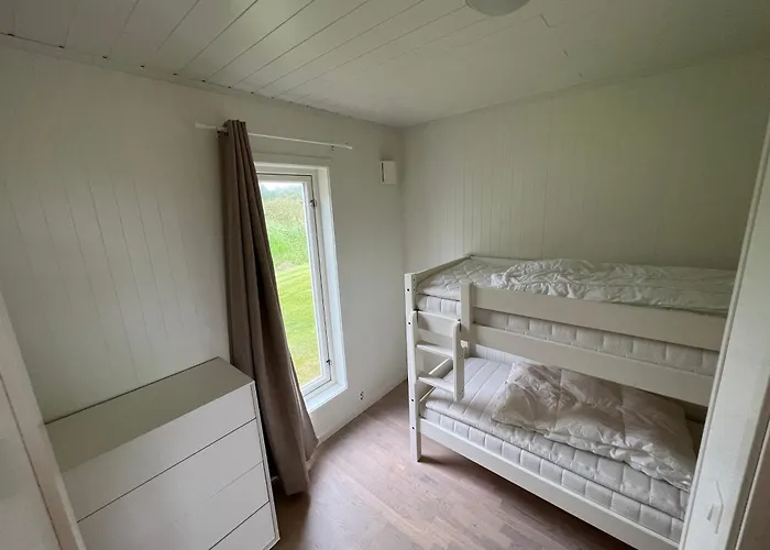 Bud Camping Camping *