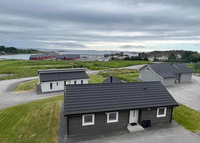 Bud Camping Camping Bud