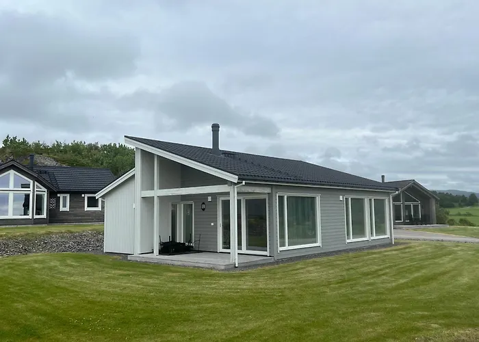 Bud Camping Camping *